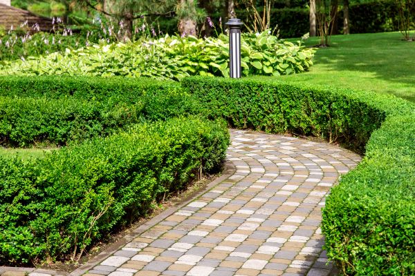 Paved Landscaping in Stamford