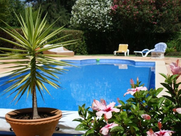 Pool Terrace Renovation in Stamford