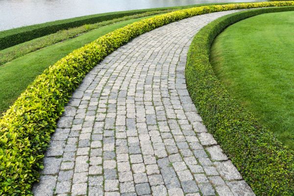 Sidewalk Pavers Installation in Stamford